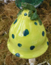 Froggy Garden Mushroom